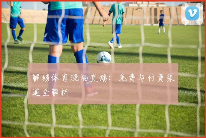 解锁体育现场直播:免费与付费渠道全解析