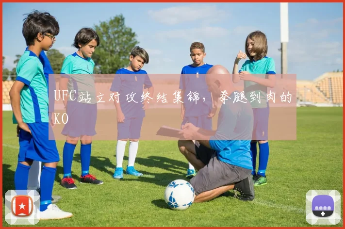 UFC站立对攻终结集锦，拳腿到肉的KO