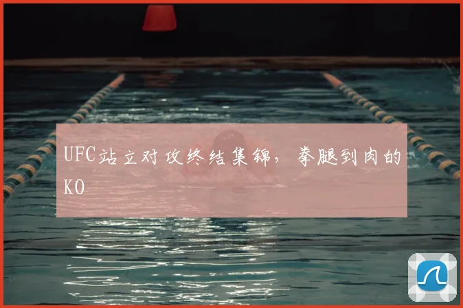 UFC站立对攻终结集锦,拳腿到肉的KO