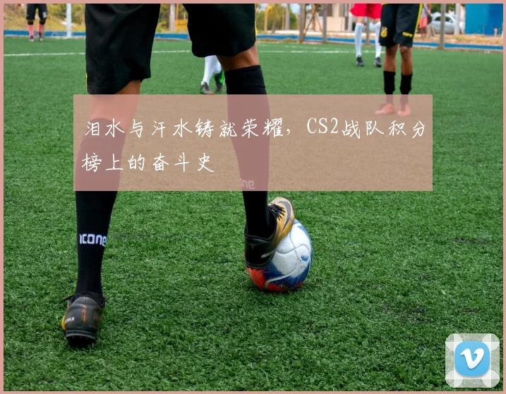 泪水与汗水铸就荣耀,CS2战队积分榜上的奋斗史