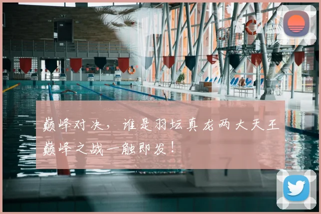 巅峰对决,谁是羽坛真龙两大天王巅峰之战一触即发!